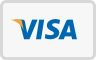 Visa Logo